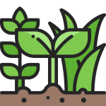 Grass Icon