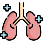 Respiratory Care: Support for breathing difficulties, including the use of respiratory devices.