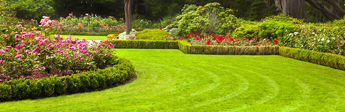 NDIS Gardening Services