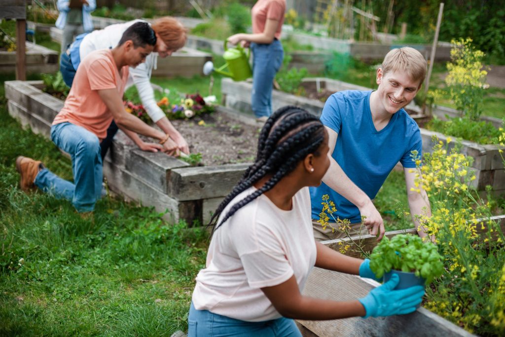 Community Gardening Service